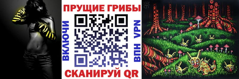Купить  Серафимович  Псилоцибиновые грибы ЛСД 